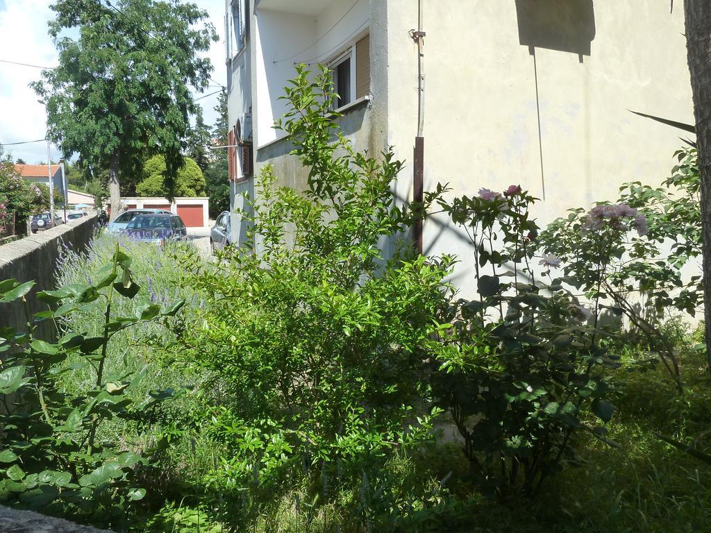 Apartment Marina Zadar Exterior foto